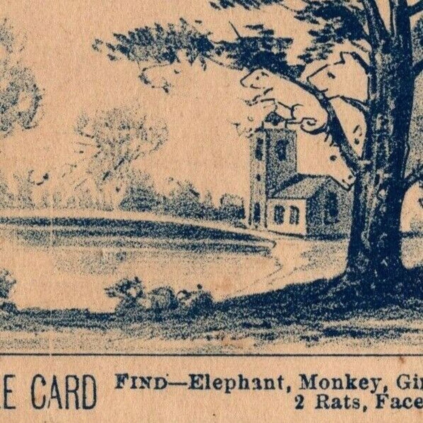 Carter's Backache Plasters Outdoor Find Animal Puzzle Game Victorian Trade Card