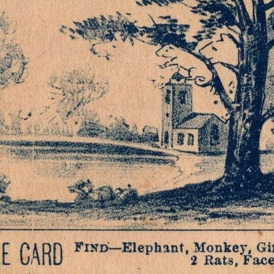 Carter's Backache Plasters Outdoor Find Animal Puzzle Game Victorian Trade Card