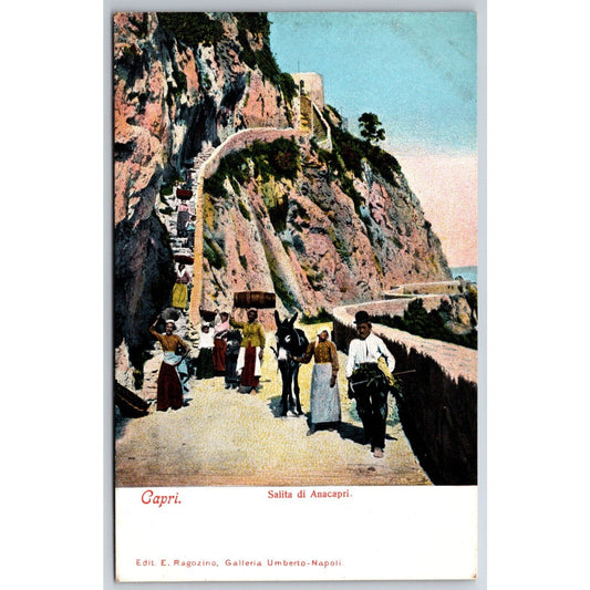 Italian Postcard Capri "Ascent of Anacapri" Group Walks w/ Mule c1901-1907 NP
