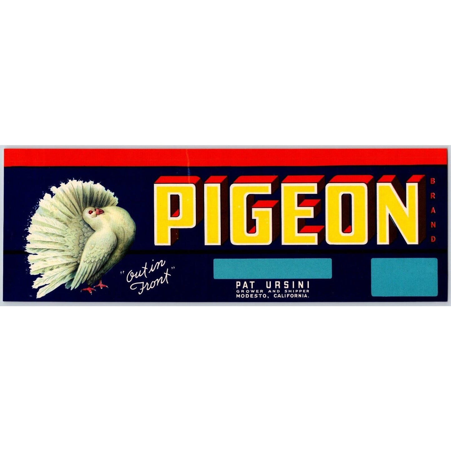 Pigeon Brand Paper Fruit Crate Label Pat Ursini Modesto, CA c1930's-40's