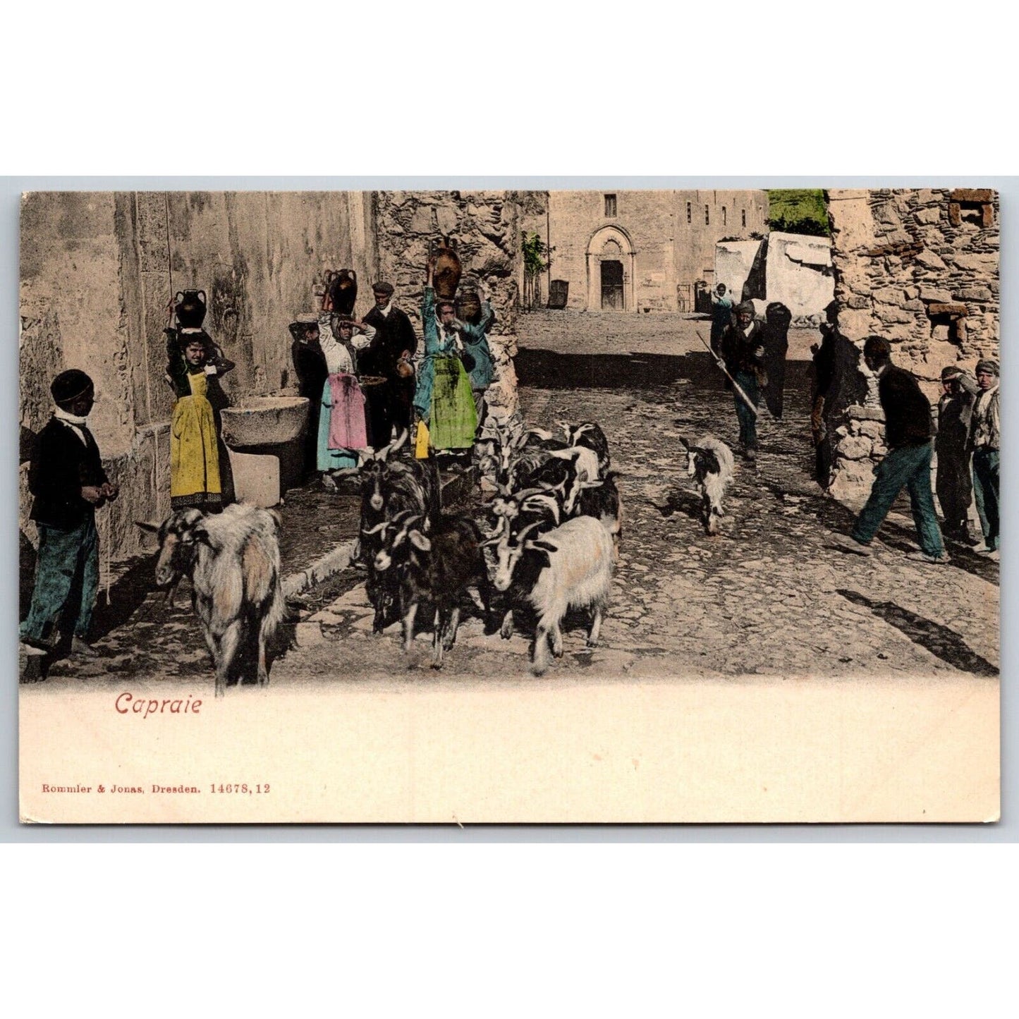 Italian Postcard Capri Goat ? Hurder leads Through In Town Onlookers c1901-1907