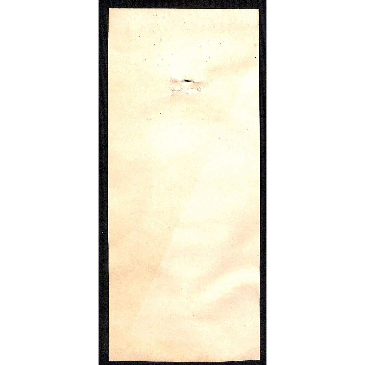c1950 Gimbles Easter Pinback Ribbon on Catalog Salesman's Sample Card