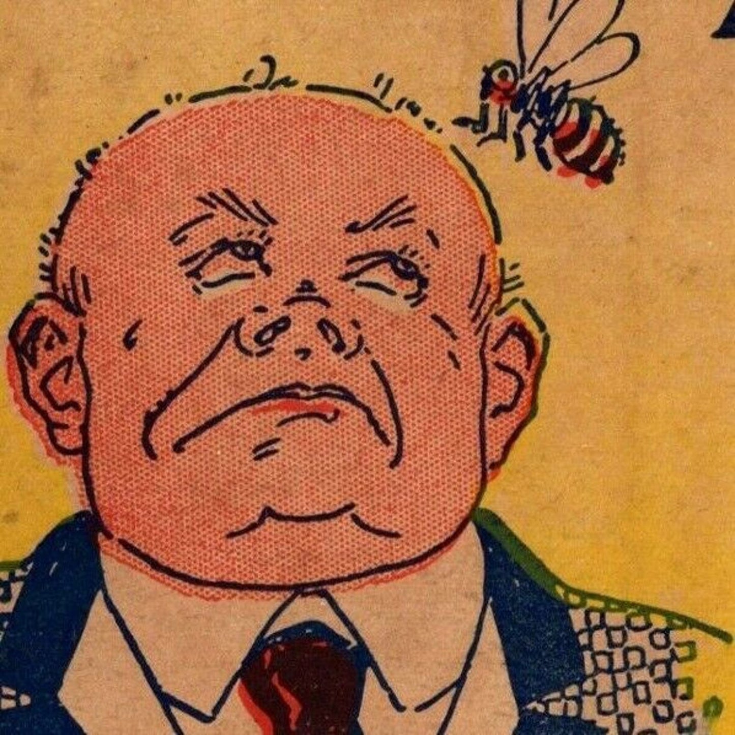 "I Would Like To Be (Bee)" c1905 Undivided NP Comic Humor Postcard