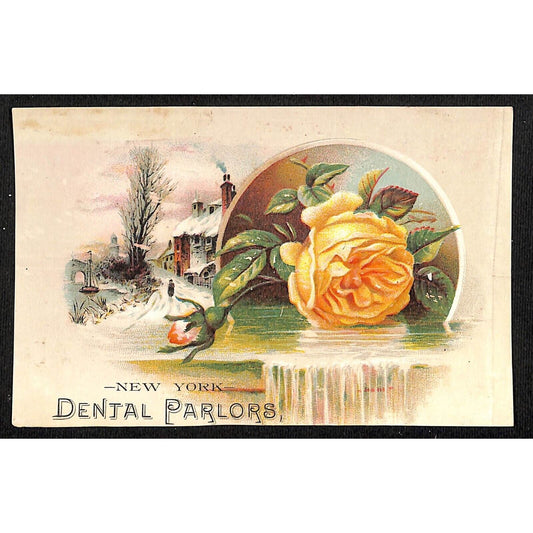 New York Dental Parlors Louisville KY Victorian Trade Card Home Winter Rose