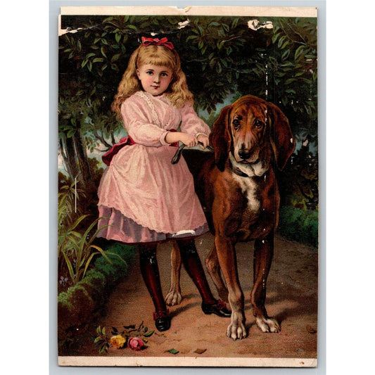 Girl Standing with Dog Outdoors Victorian Trade Card Dr. Jayne's Tonic - Damage