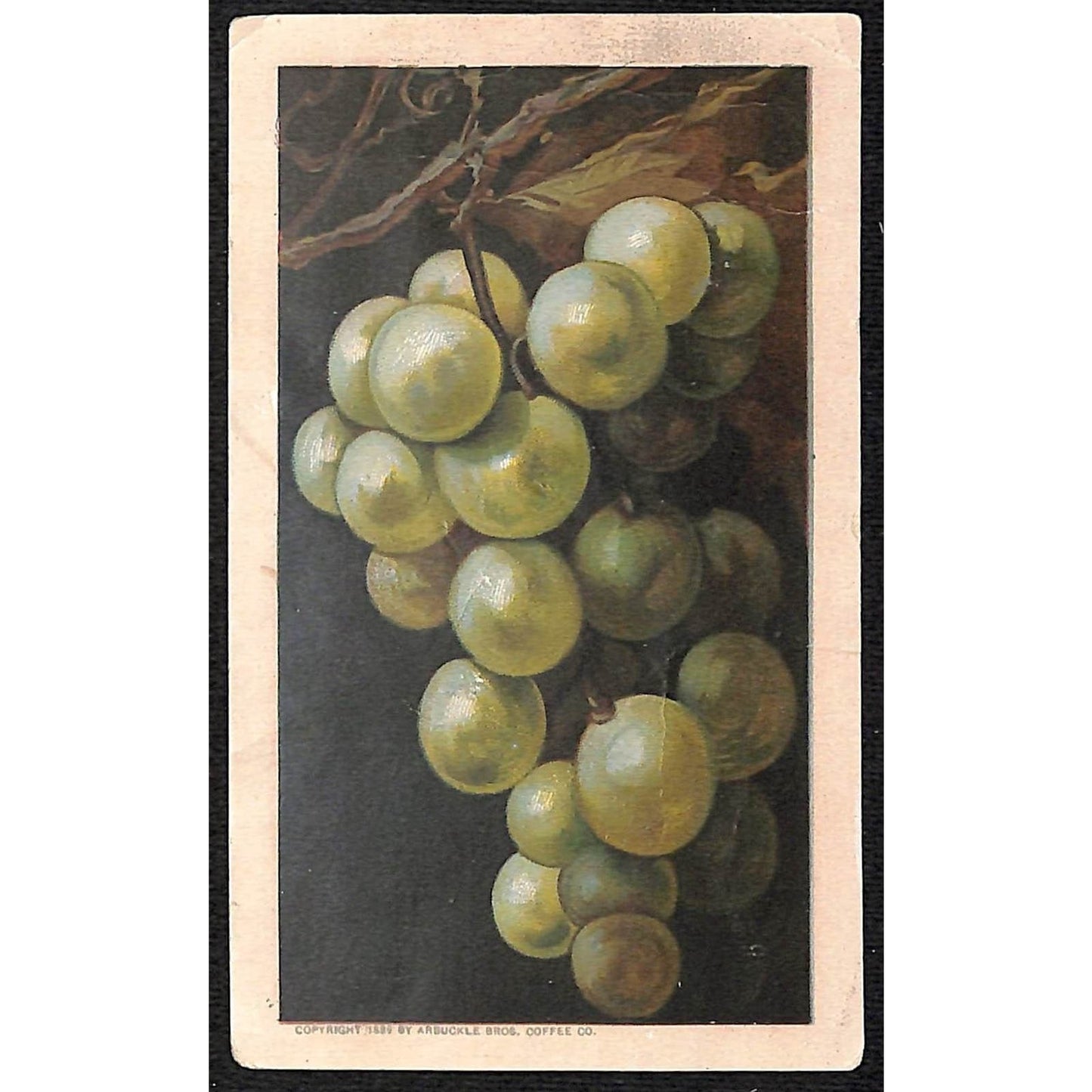 Arbuckle's Ariosa Coffee Victorian Trade Card Green Grapes on the Vine