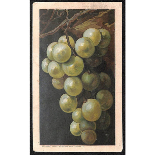 Arbuckle's Ariosa Coffee Victorian Trade Card Green Grapes on the Vine