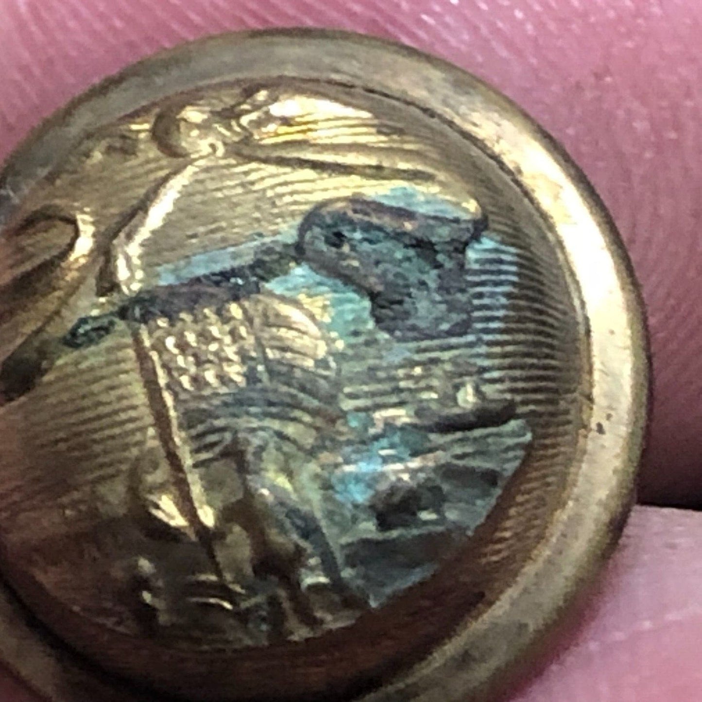 Scovill Eagle Flag Ribbon Soldier Rifle Brass Uniform Button Convex 1/2" Scarce