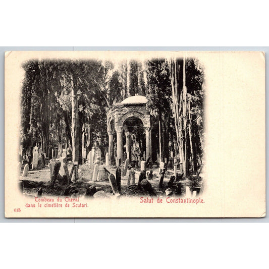 French Postcard Tomb of the Horse Cemetery in Sculari c1901-1907 NP VGC