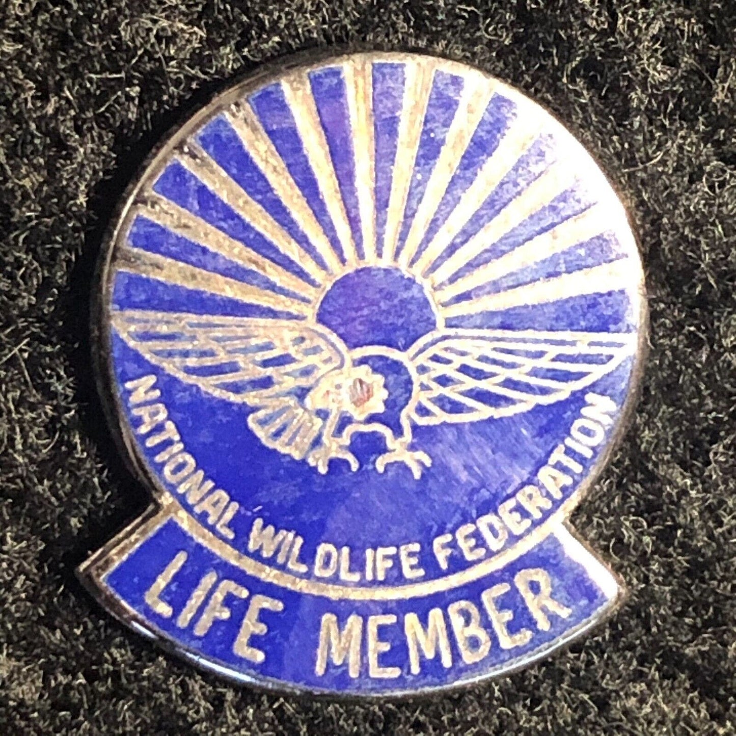National Wildlife Federation Lifetime Enameled Pinback Lapel Eagle - Sterling