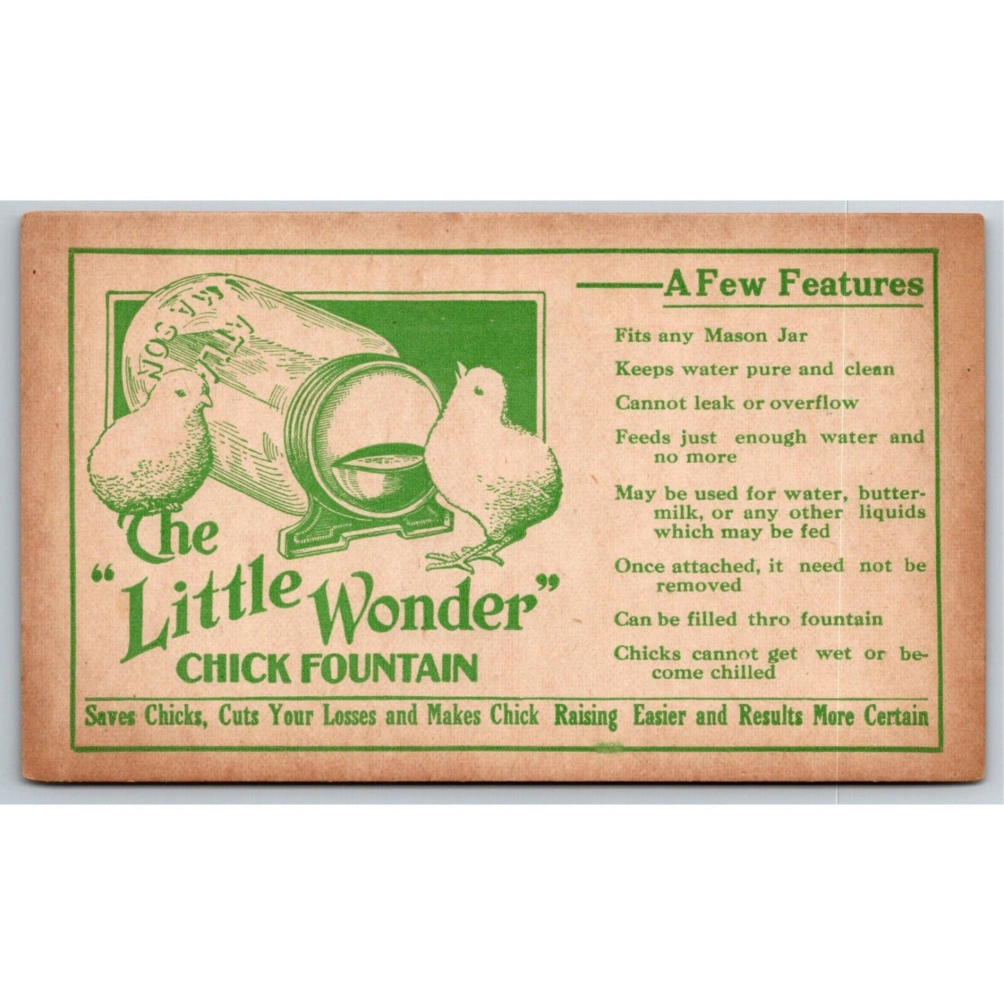 Vintage c1922 Advertising Postcard - "Little Wonder" Chick Fountain