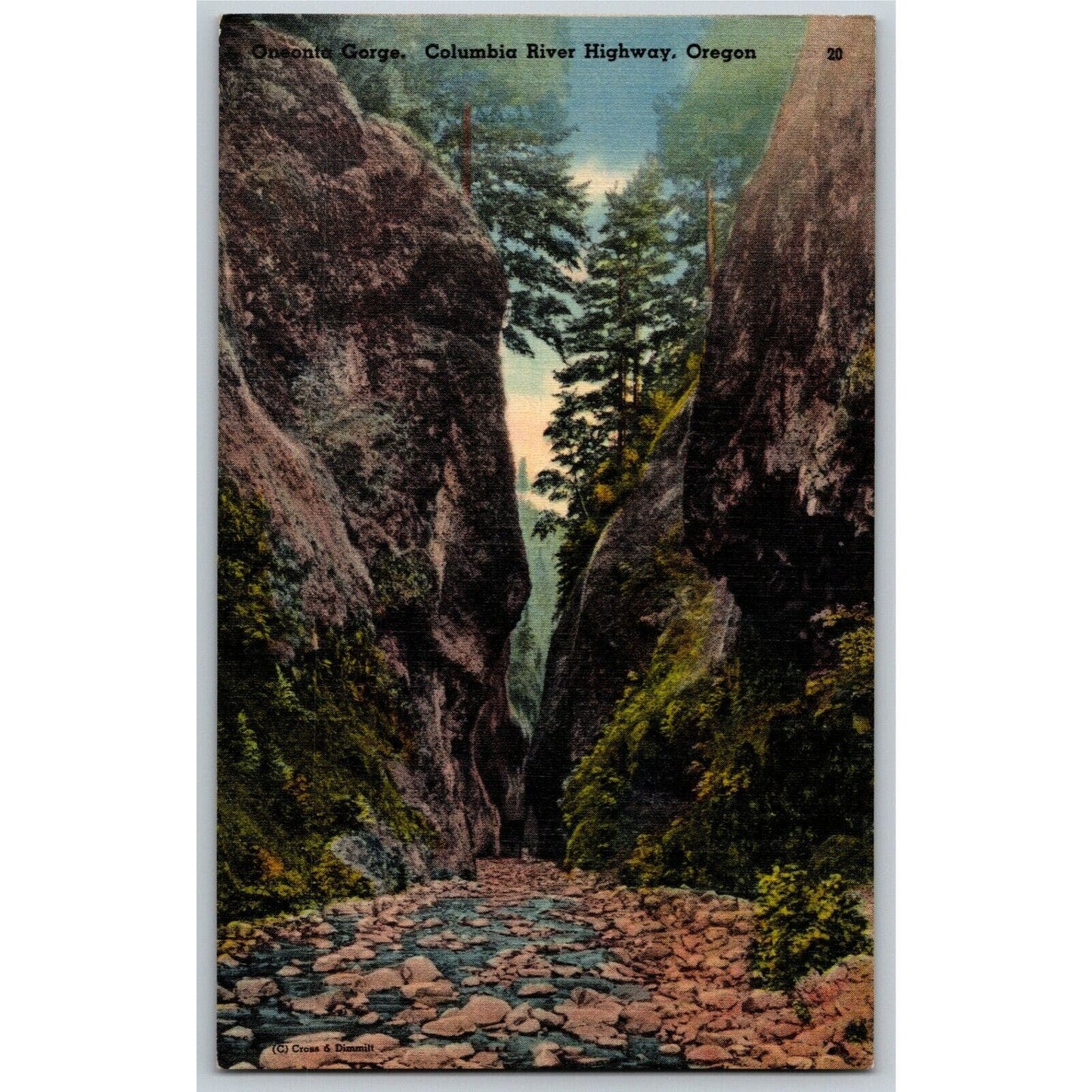 Vintage Linen Postcard Oneonta Gorge, Columbia River Highway, Oregon Unposted