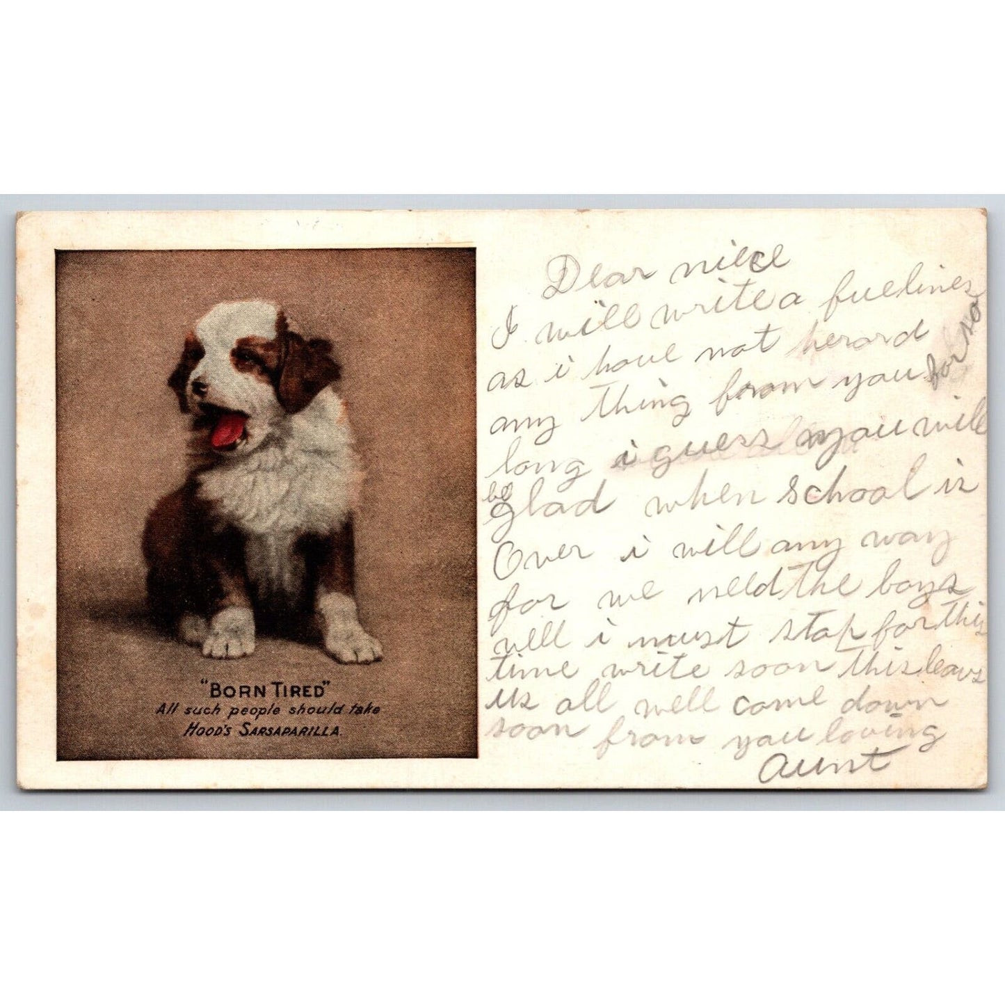 Hood's Sarsaparilla "Born Tired" Puppy Yawning Advertising Postcard PM 1908 VGC