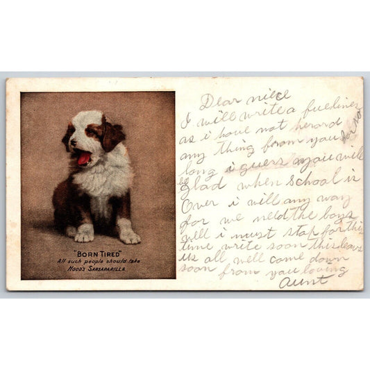 Hood's Sarsaparilla "Born Tired" Puppy Yawning Advertising Postcard PM 1908 VGC