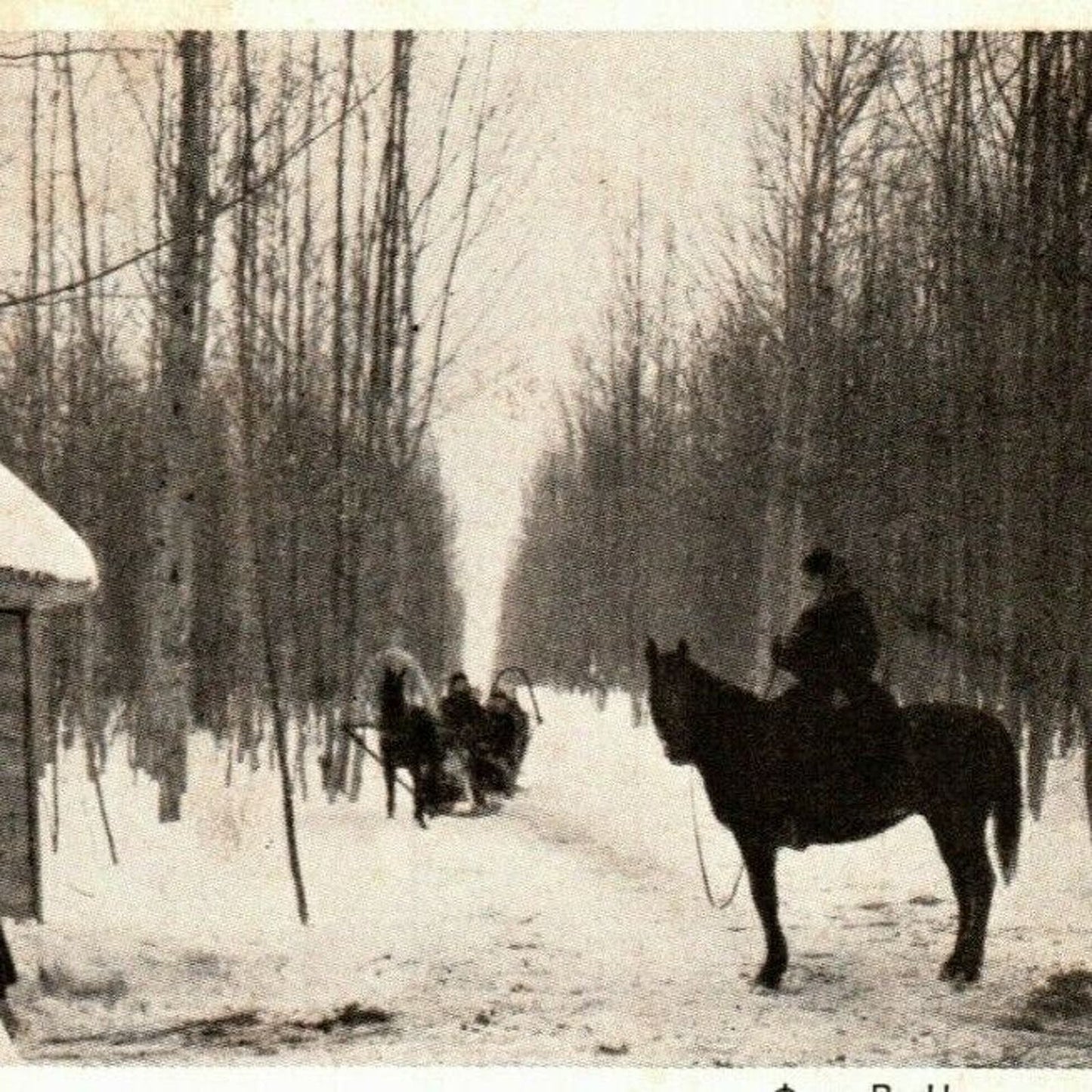 c1911 Vintage Russian Art Postcard Tolstoy Introduced Into the Collar and Shafts