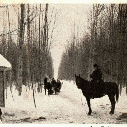 c1911 Vintage Russian Art Postcard Tolstoy Introduced Into the Collar and Shafts