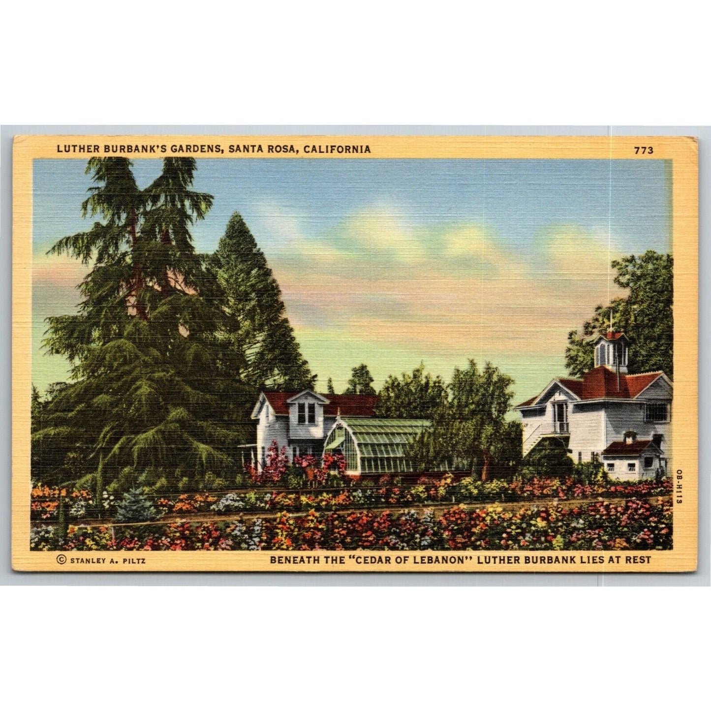Vintage c1930-45 Linen Postcard "Luther Burbank's Garden, Santa Rosa, CA"