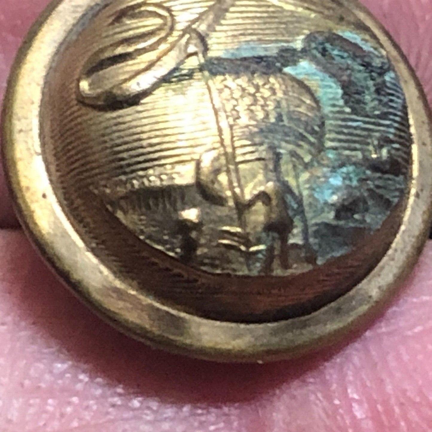 Scovill Eagle Flag Ribbon Soldier Rifle Brass Uniform Button Convex 1/2" Scarce