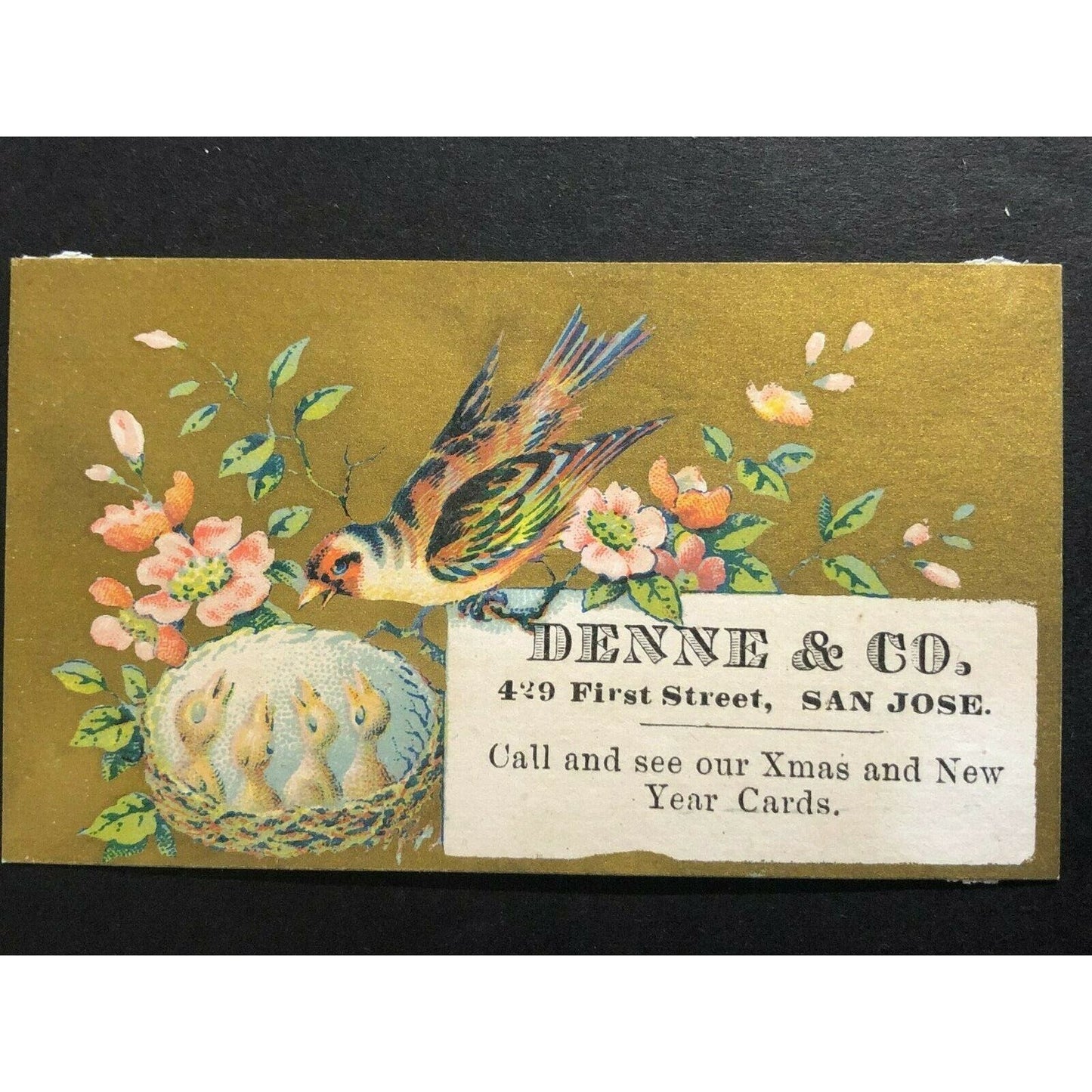 Denne & Co. San Jose Feeding Baby Birds in Nest - Small Victorian Trade Card