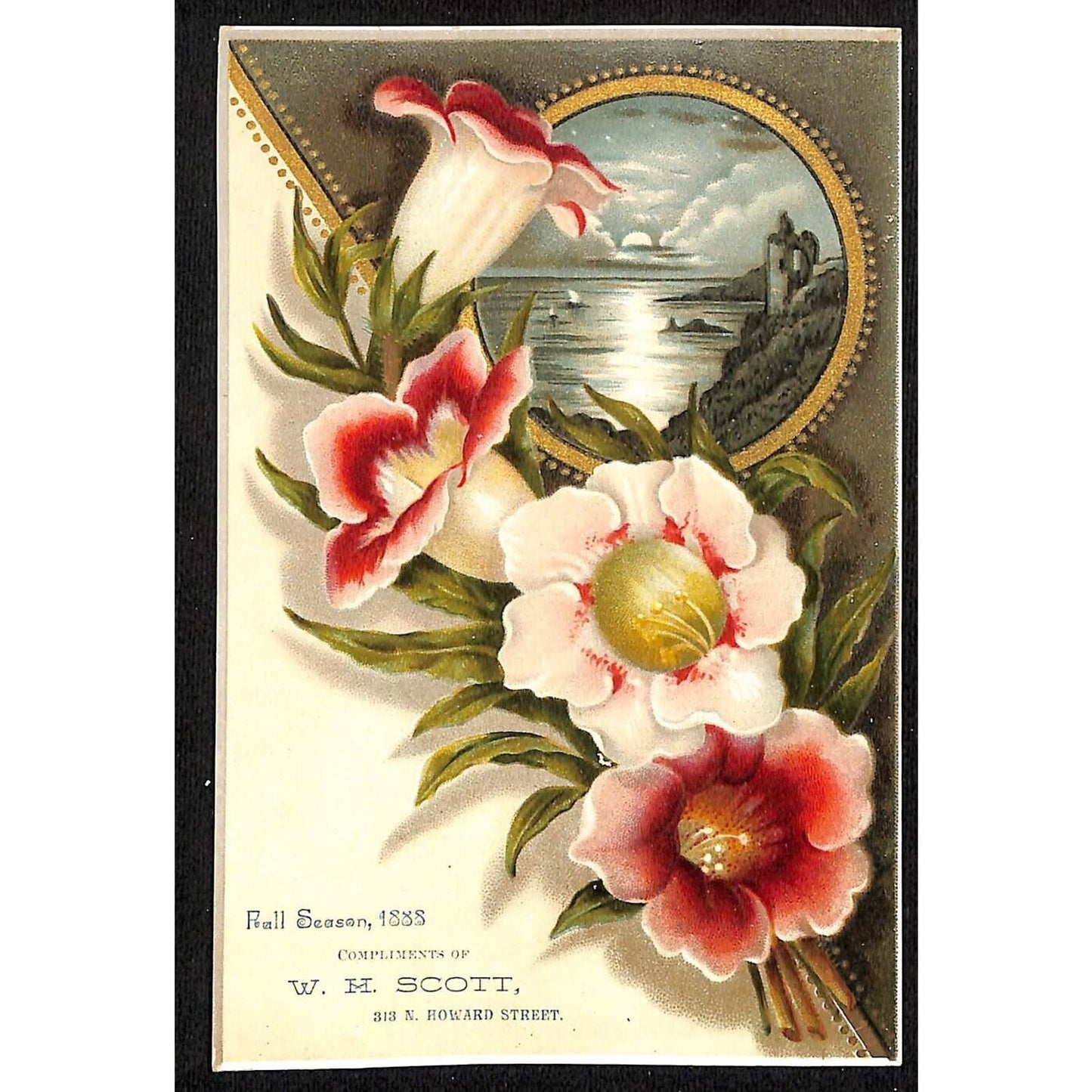 W. H. Scott (Home Furniture -Baltimore) Victorian Trade Card - Floral Sea View