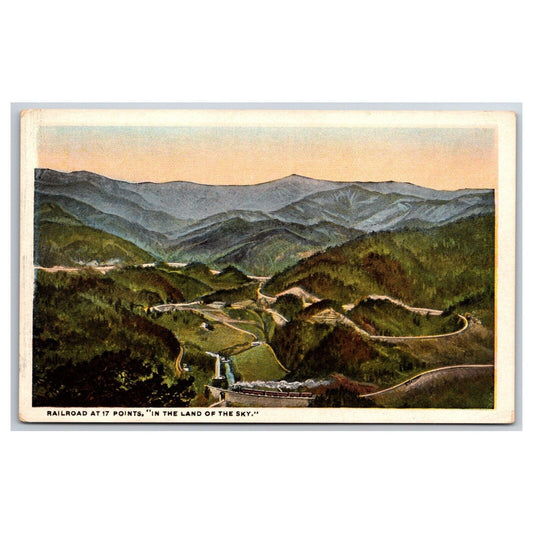 c1920's-30s Railroad at 17 Points "In the Land of the Sky" Unposted Postcard VGC