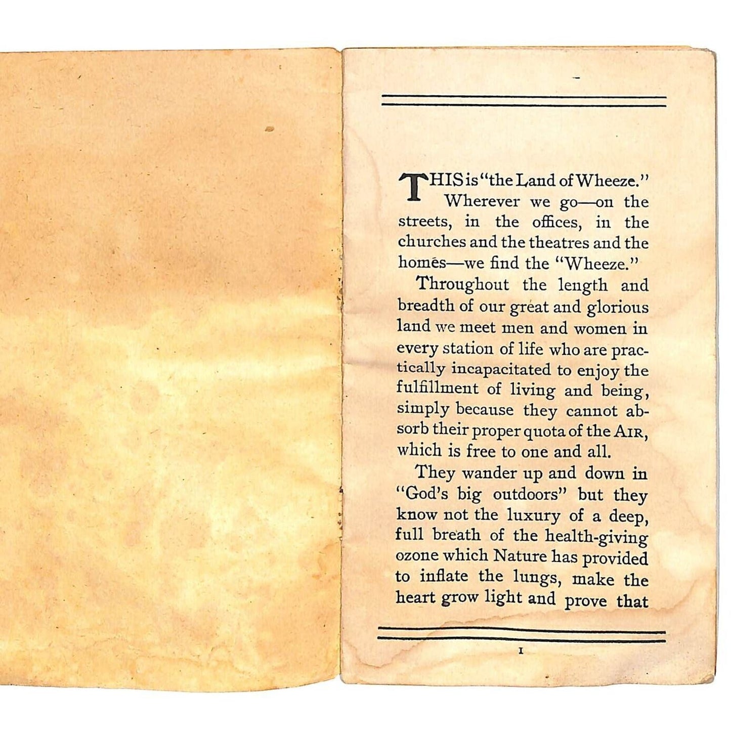 Jerome, VA Moomaw & Co. Dry Goods "The Land of the Wheeze" Nosena c1906 Booklet