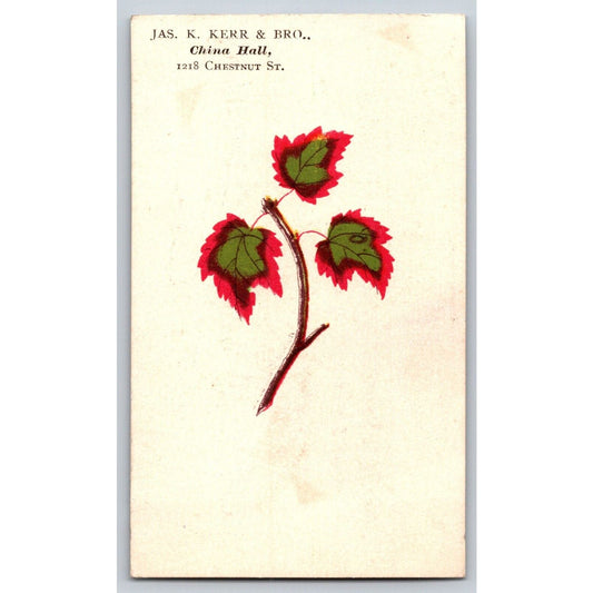 Jas. K. Kerr & Bro. China Hall Philadelphia Victorian Trade Card Red Leaf