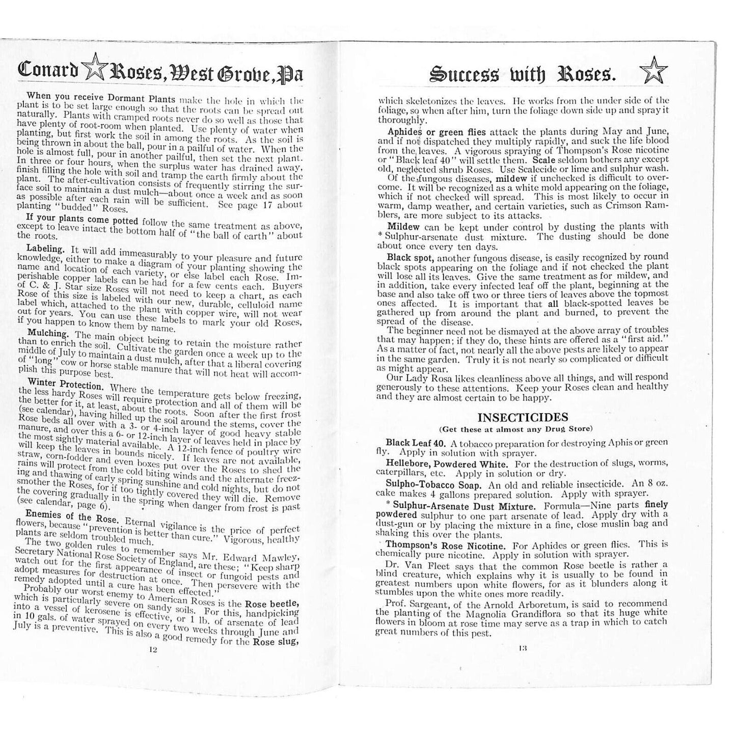 "Success With Roses" Conrad & Jones Roses West Groove, PA 1920 34pp VGC