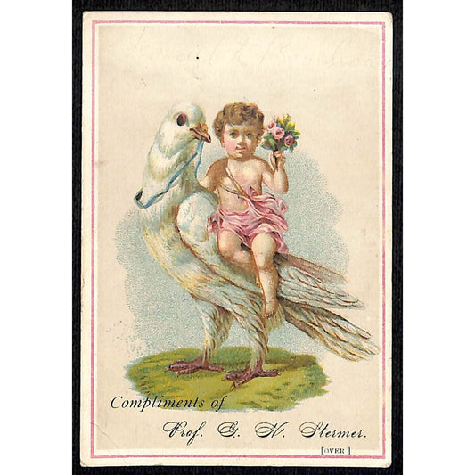 G.H. Stermer Music Hanover, PA Victorian Trade Card Infant Riding Dove? Bird