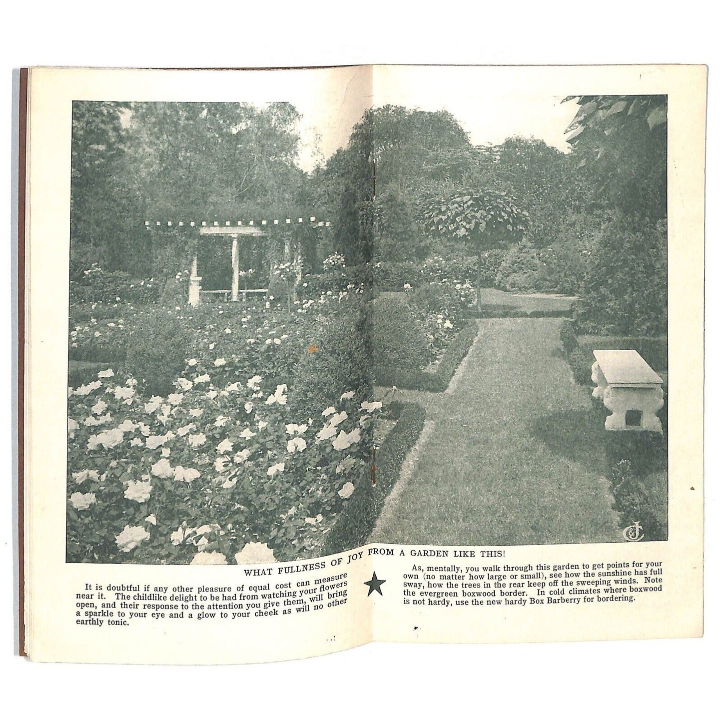 "Success With Roses" Conrad & Jones Roses West Groove, PA 1920 34pp VGC