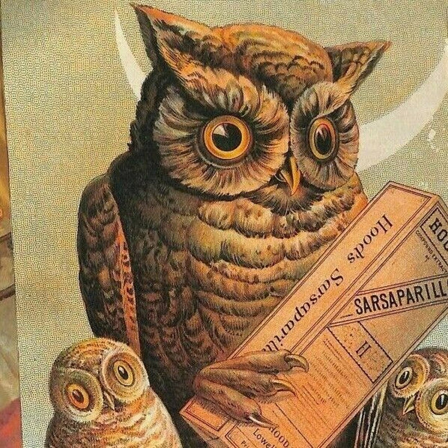 Group of 22 pcs Victorian Scrap / Trade Card Art