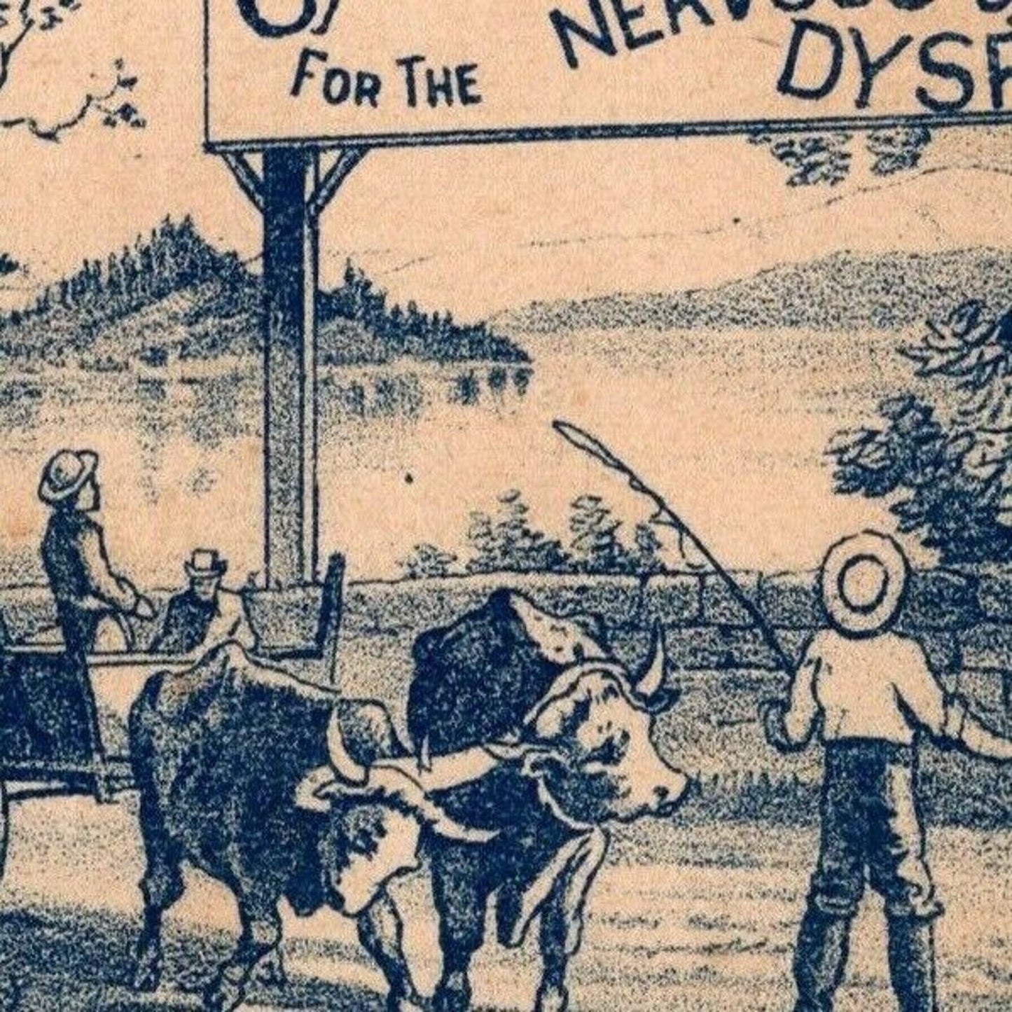 Carter's Little Nerve Pills Outdoor "Find Cow Owl Fox" Game Victorian Trade Card