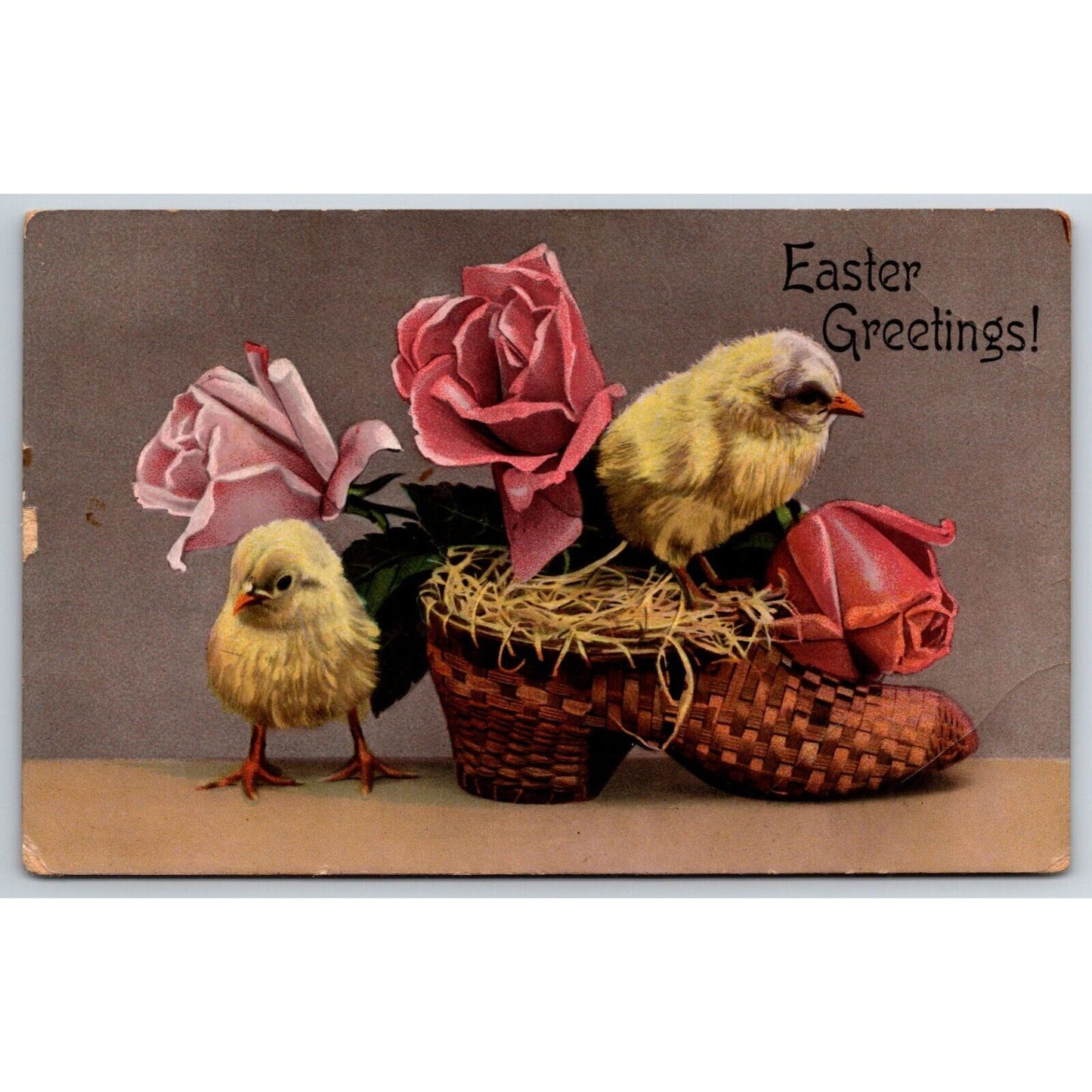 Easter Postcard Baby Chicks Wicker? Shoe Roses l PM 1911