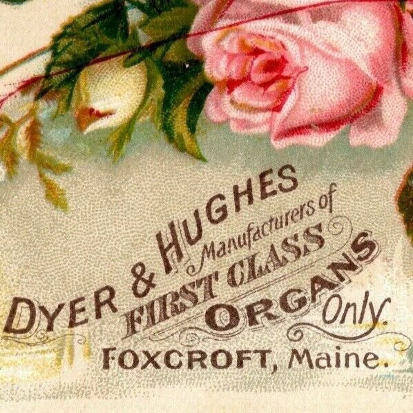 Victorian Trade Card Dyer & Hughes Organs - Foxcroft, Maine - Roses