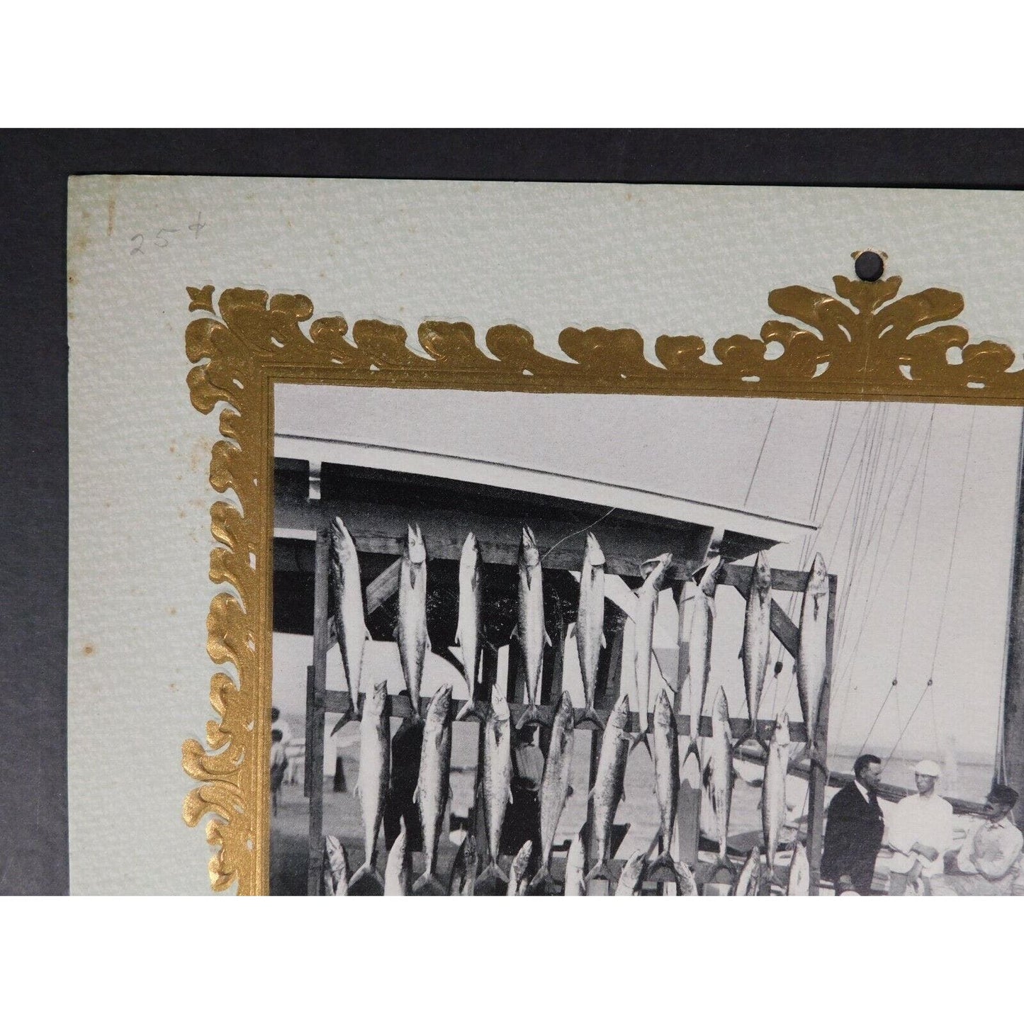 F. H. Martin 1905 Calendar "Meats Of All Kinds" Real Photo Williamstown Vermont