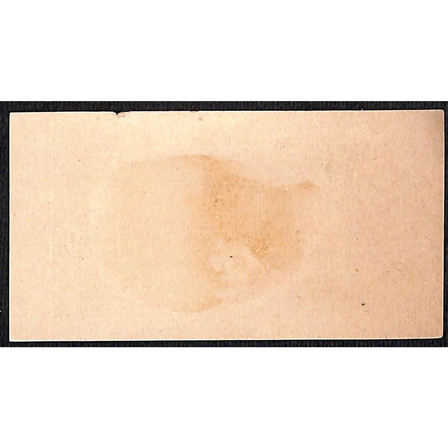 Grand Rapids Theo. Schultze Milliner & Masquerade Costumer Victorian Trade Card