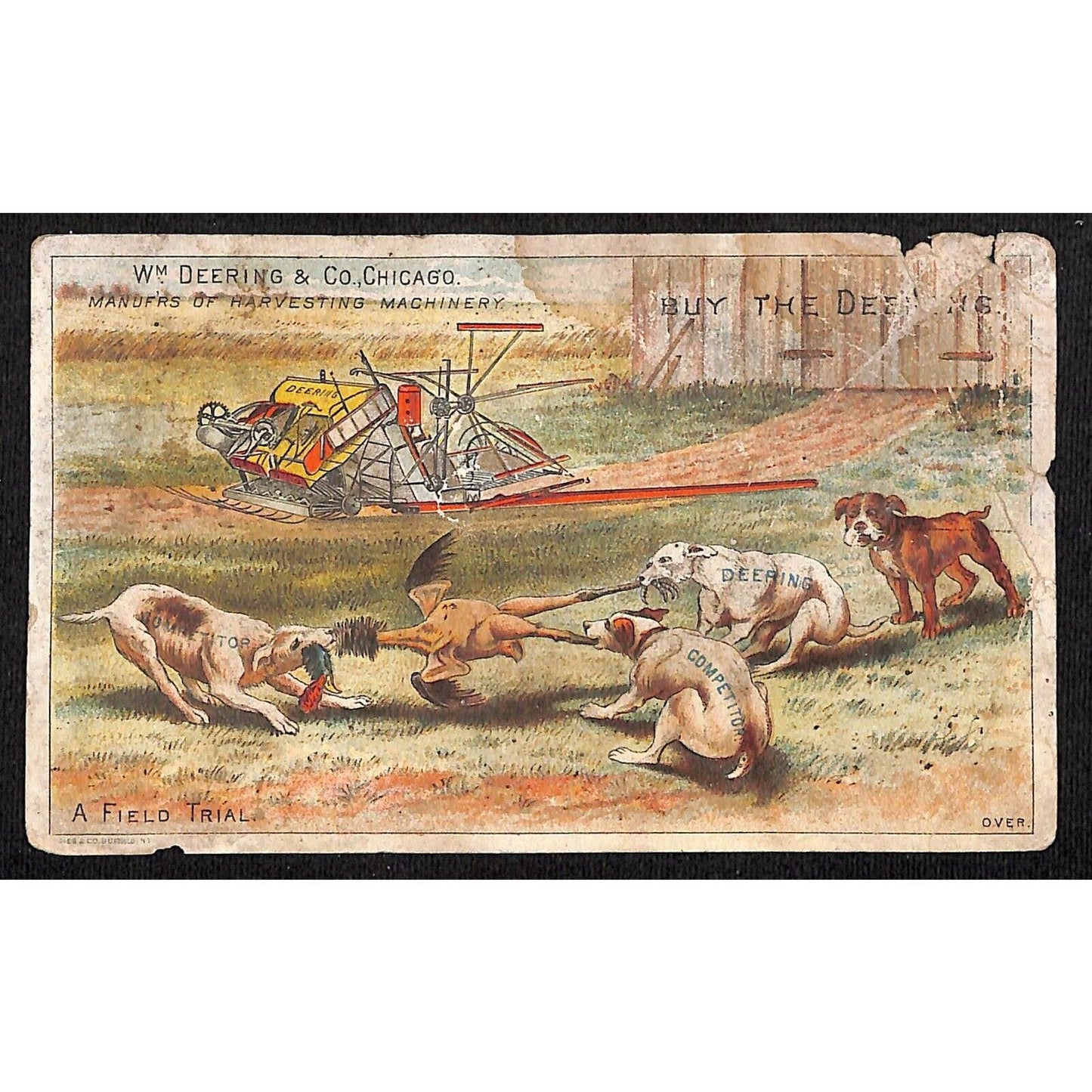 Wm. Deering (Farm Implements) Victorian Trade Card Dogs Pull Apart Turkey