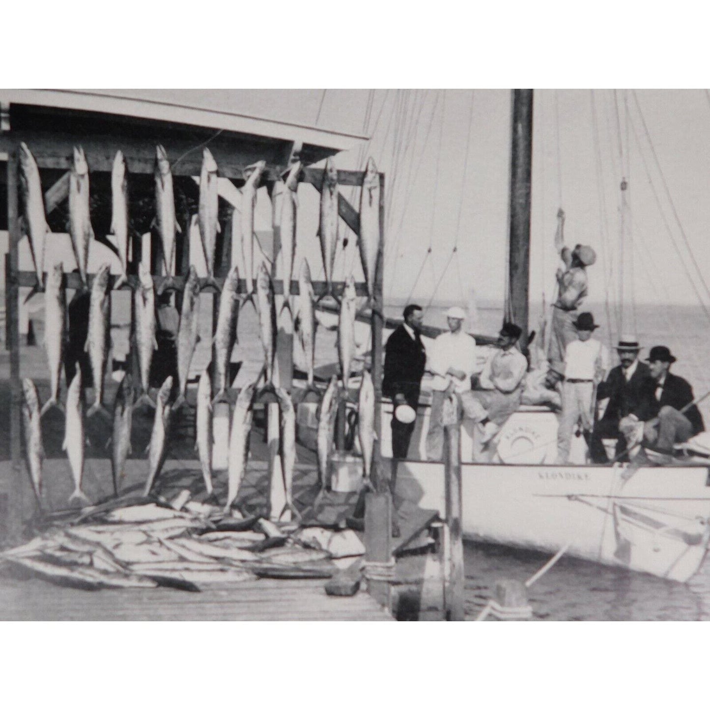 F. H. Martin 1905 Calendar "Meats Of All Kinds" Real Photo Williamstown Vermont