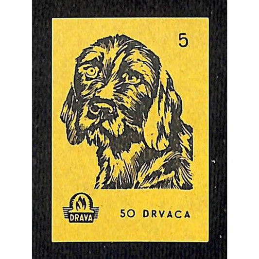 Vintage Yugoslavia Matchbox Label Drvaca Dog Breed Series - #5 VGC c1960's