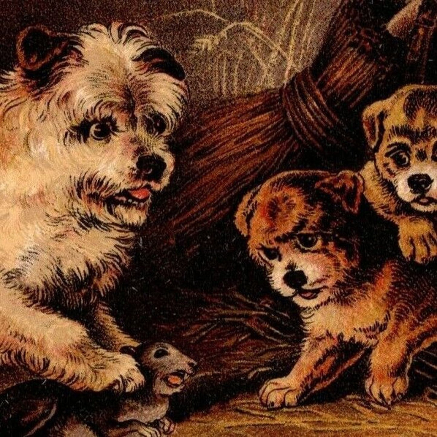 Hood's Sarsaparilla "100 Doses for $1" Dog Puppies w/ Rat Victorian Trade Card