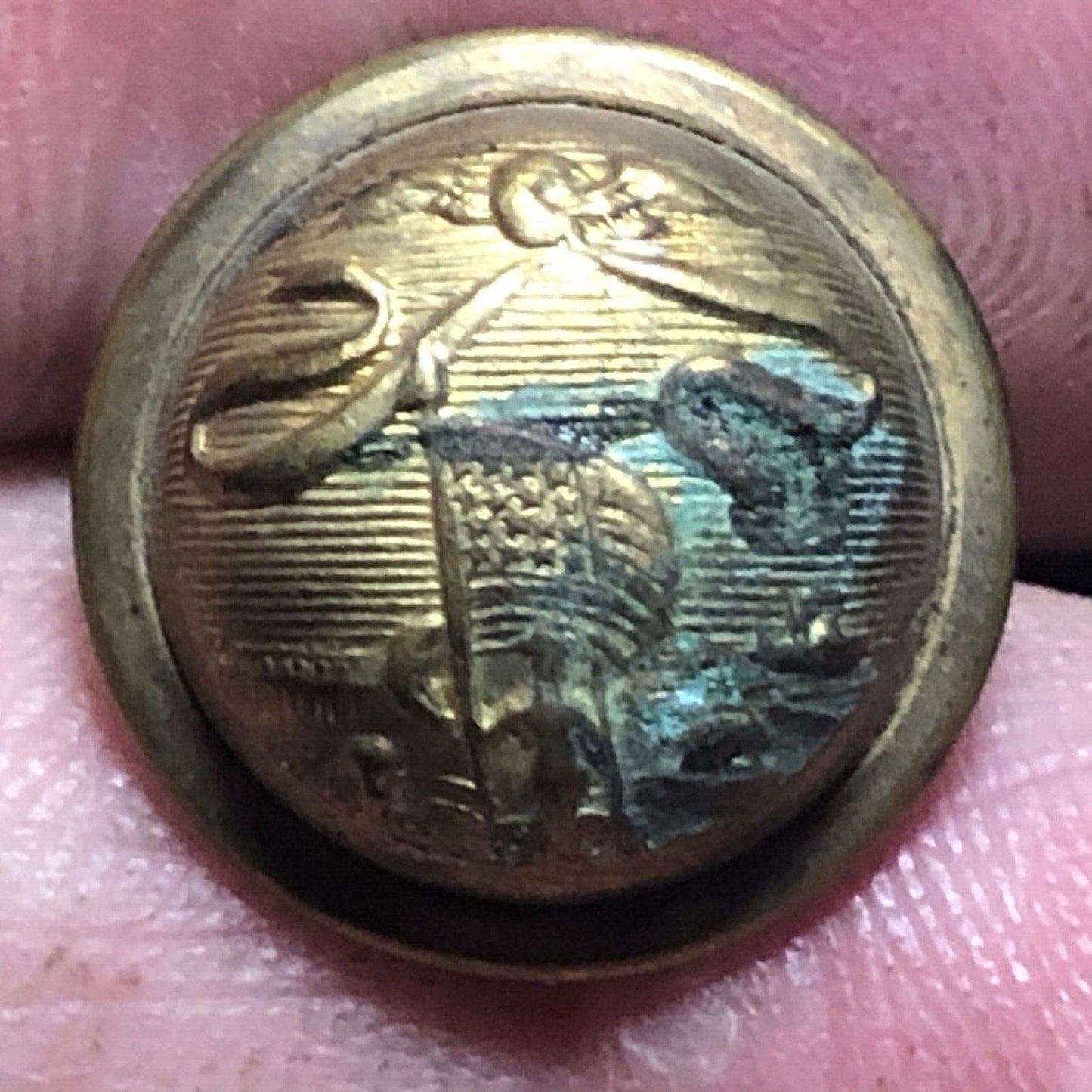 Scovill Eagle Flag Ribbon Soldier Rifle Brass Uniform Button Convex 1/2" Scarce