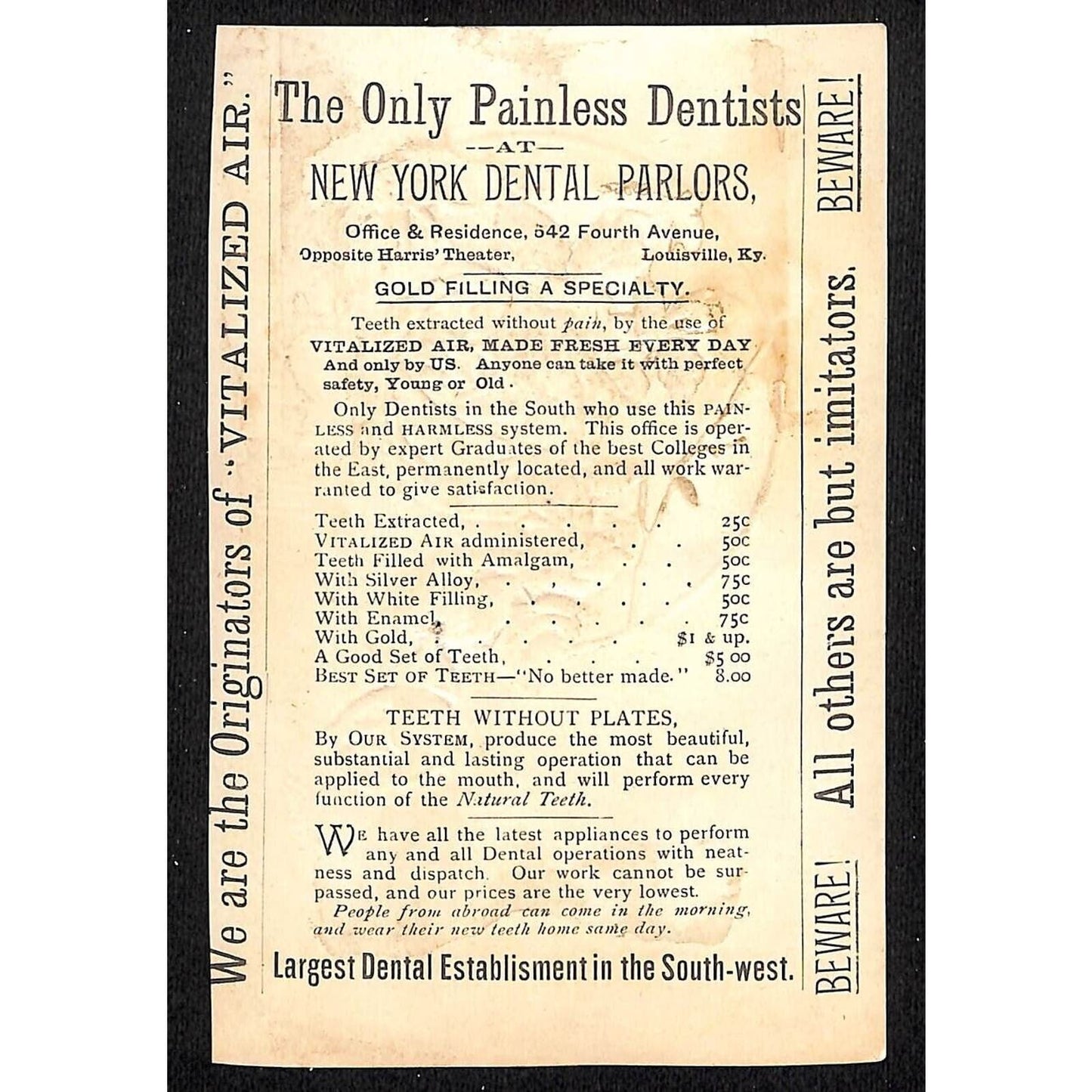 New York Dental Parlors Louisville, KY Victorian Trade Card - Home Winter Rose