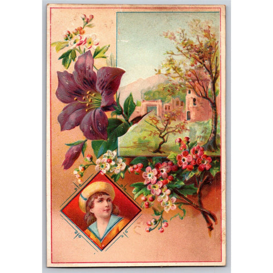 Embossed Victorian Trade Card Blank w/ no Company Name Floral Home Scene