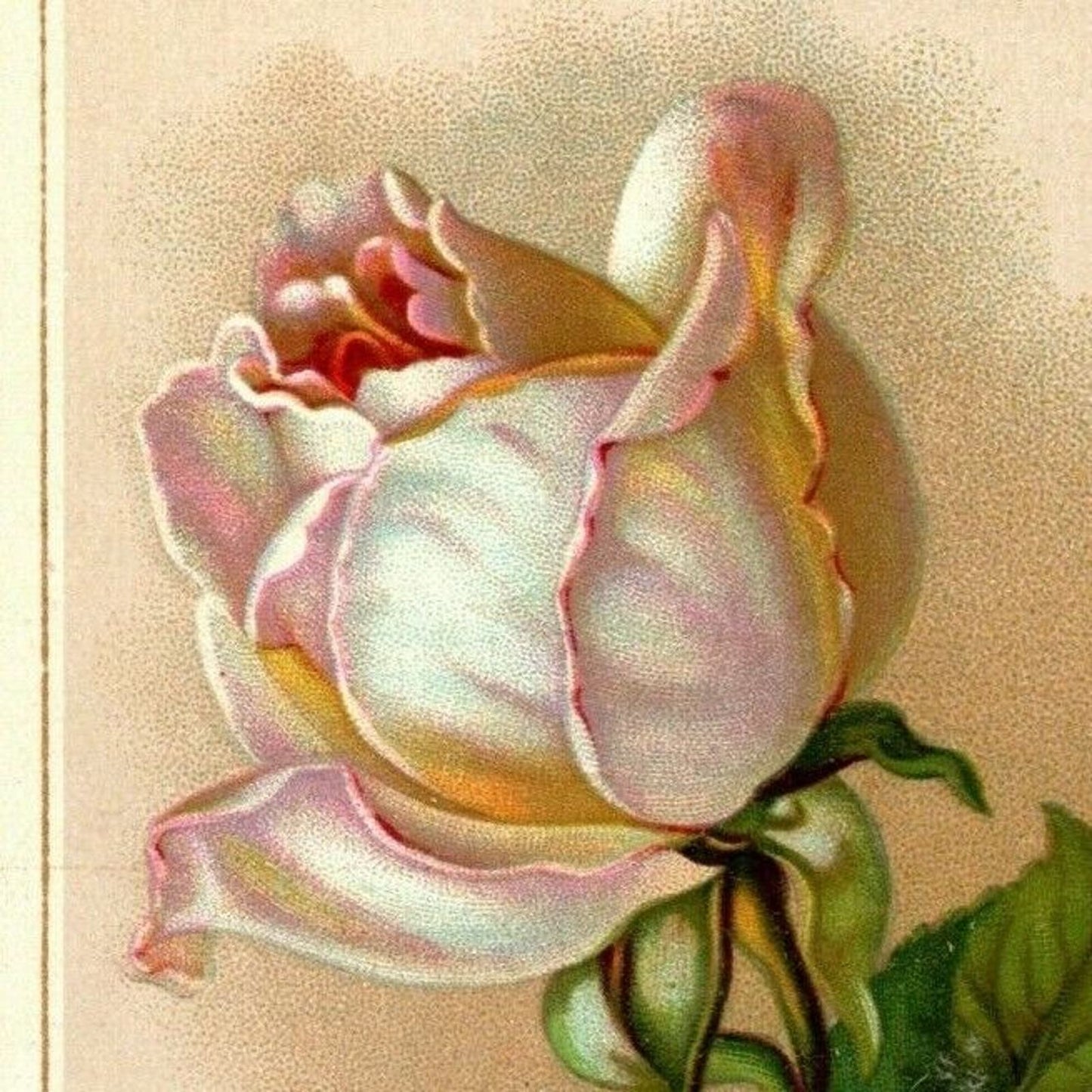 1884 Henry Smith, Clothier, Charleston, W. VA. Large Victorian Trade Card