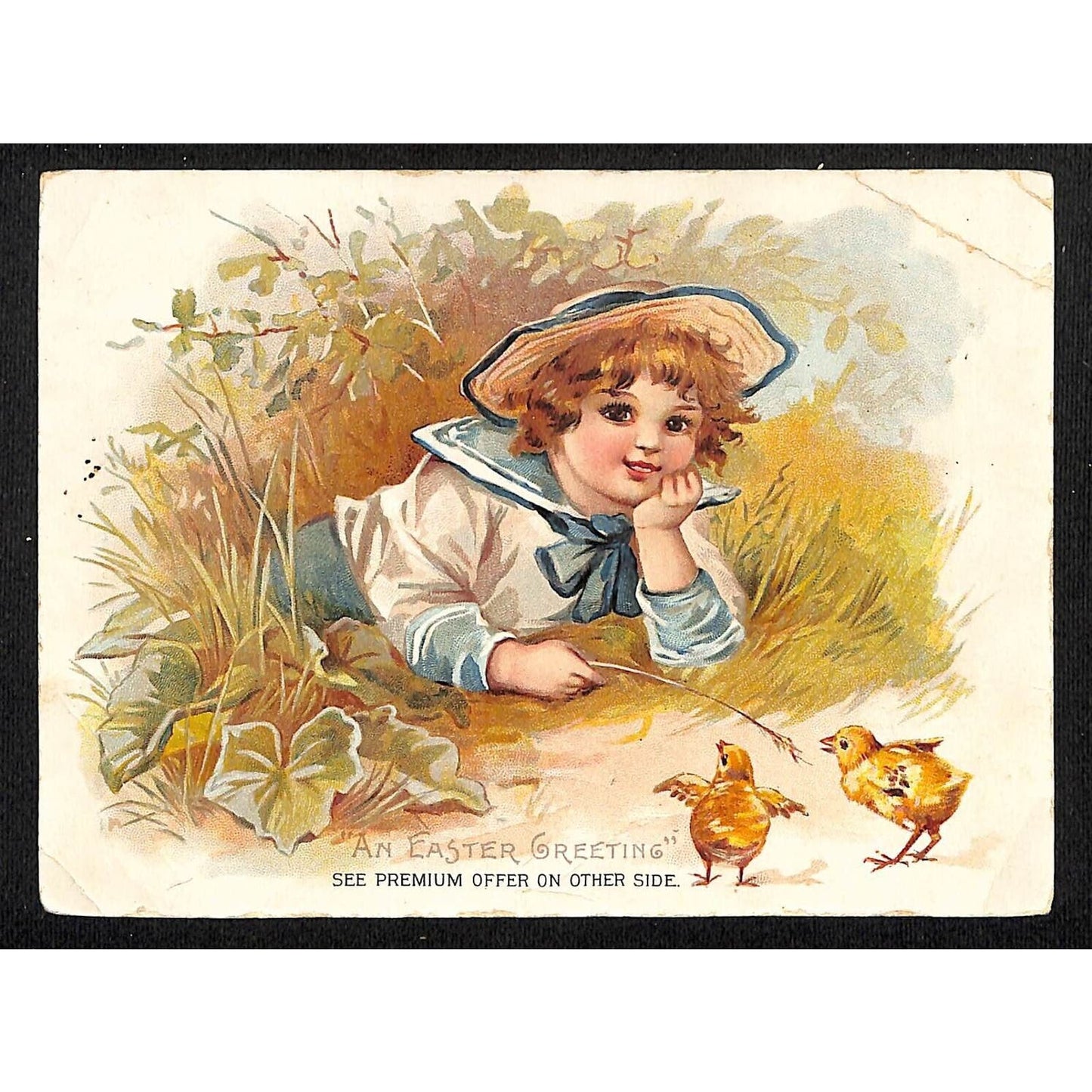 Lion Coffee Large Victorian Trade Card Child Plays w/ Baby Chicks Outdoors