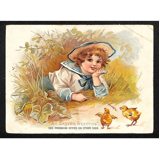 Lion Coffee Large Victorian Trade Card Child Plays w/ Baby Chicks Outdoors