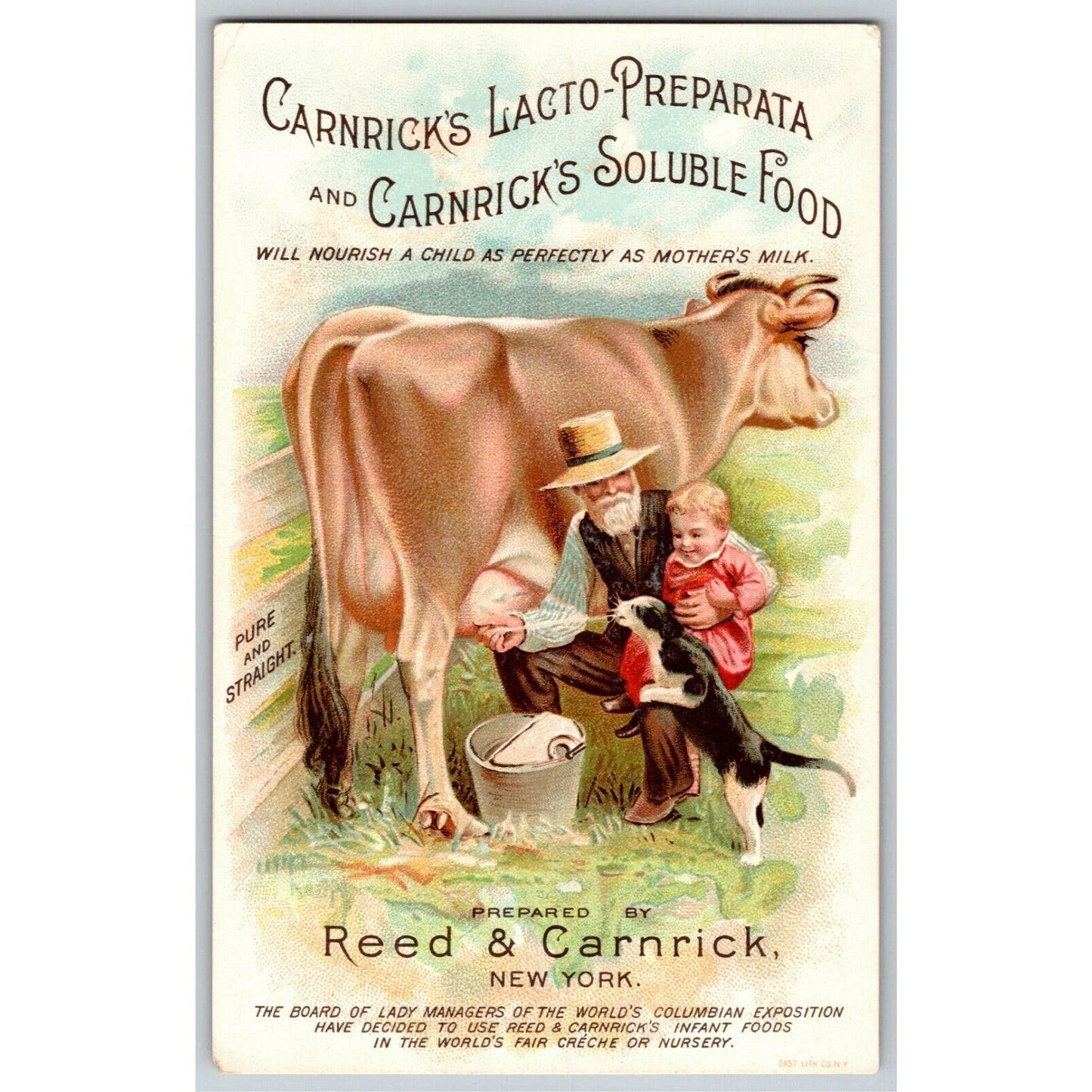 Large Scarce 1893 Chicago World's Fair Trade Card Carnrick's Lacto-Preparata Cow