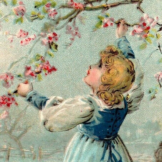 Girl in Dress Under Flowering Tree - Unmarked Blank Victorian Trade Card