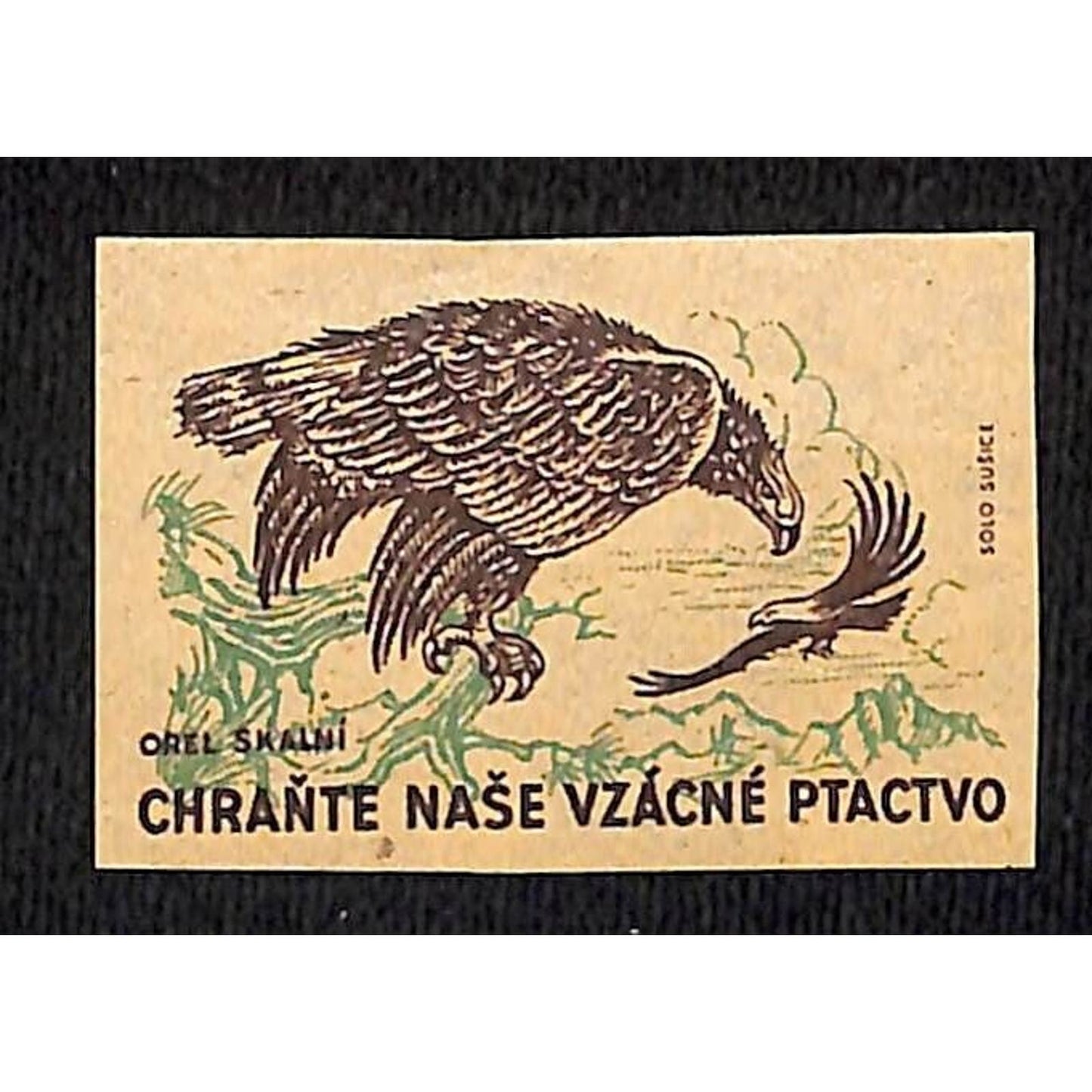Vintage Matchbox Label Czech Protect Our Rare Birds Eagle c1960