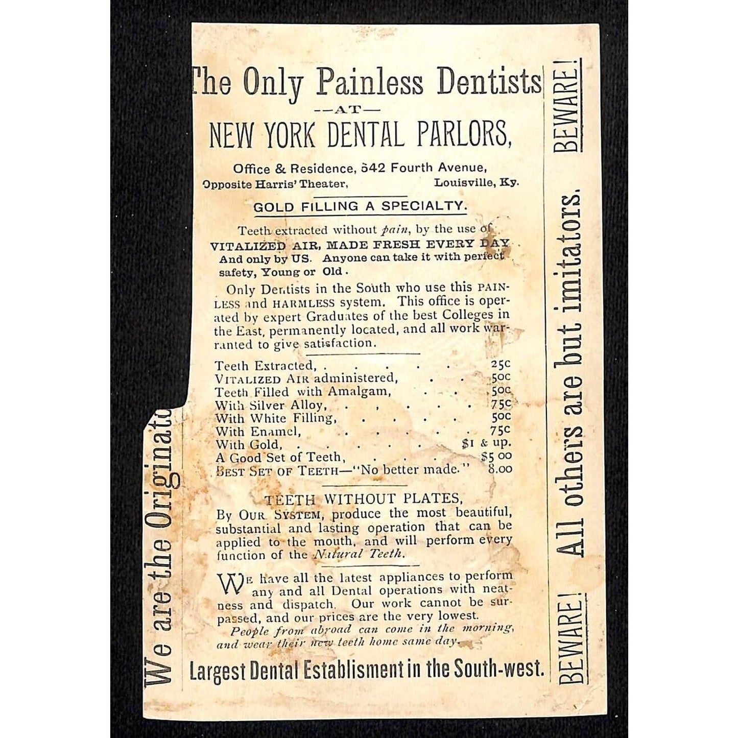New York Dental Parlors Louisville KY (4) Victorian Trade Cards w/ Birds